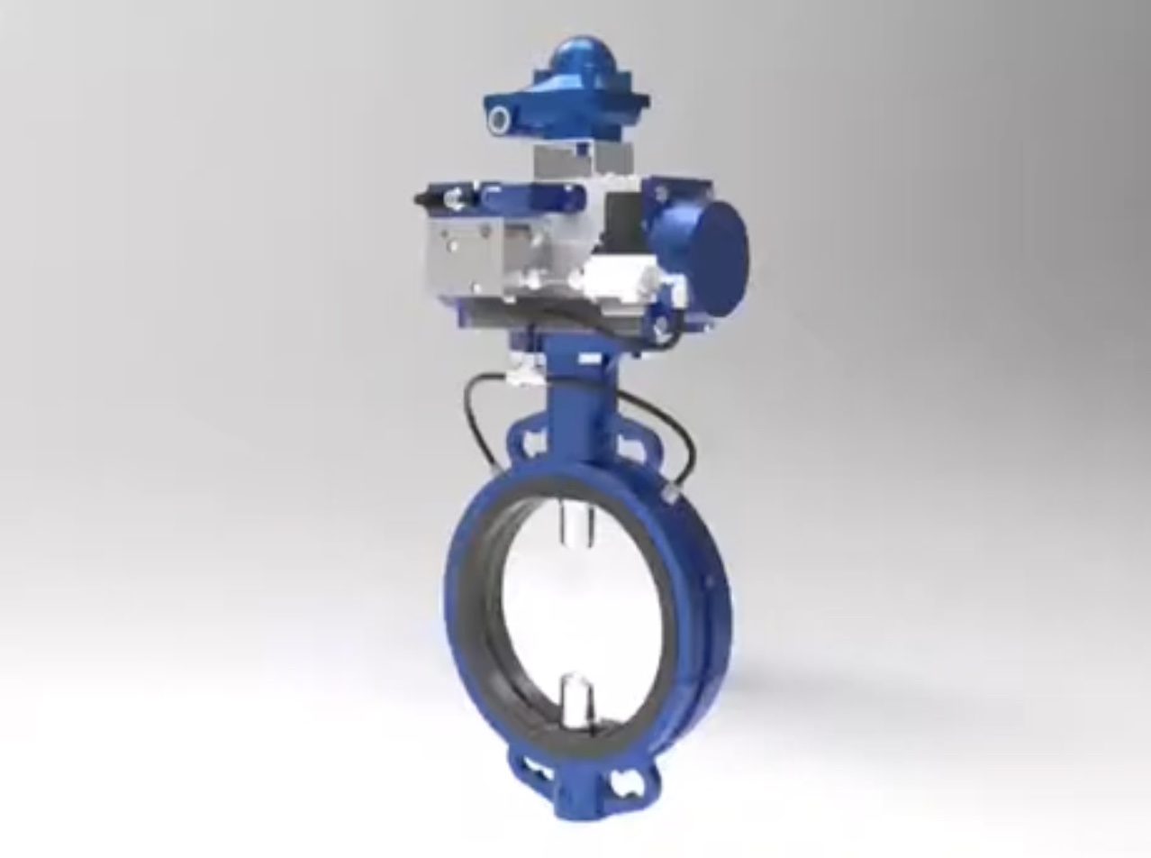 EXPANSION BUTTERFLY VALVE
